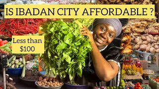 MY MONTHLY GROCERY ALLOWANCE AS YOUNG HOUSEWIFE  FARMER’S MARKET ERRANDS IN IBADAN CITY NIGERIA [upl. by Avik]