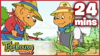 The Berenstain Bears The Summer Job  The Big Red Kite  Ep 21 [upl. by Trant]