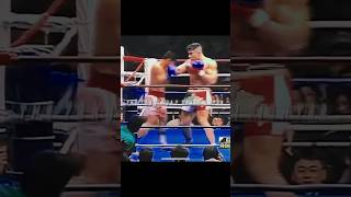 Muay Thai vs Kickboxing [upl. by Ahcas557]