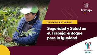 Seguridad y Salud en el Trabajo con enfoque para la igualdad [upl. by Beaufort629]