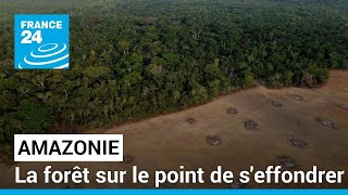 Déforestation en Amazonie elle ralentit mais pas assez • FRANCE 24 [upl. by Eahsat671]