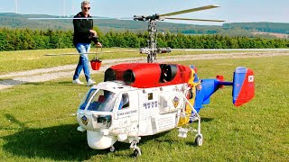 WOW  STUNNING  KAMOV KA32 RUSSIAN TRANSPORT RC SCALE MODEL ELECTRIC HELICOPTER  FLIGHT DEMO [upl. by Cacilie]