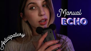 The Tingliest Whisper Style 😩 Manual Echo ASMR [upl. by Johnny362]