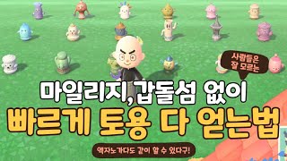 모동숲 마일리지 안쓰고 갑돌섬 없이 가장 빠르게 모든토용 다 얻는꿀팁  덤으로 액자작까지 [upl. by Richardo]