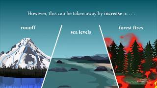 Climate Change in the Pacific Northwest  Animated Public Service Announcement PSA [upl. by Quint606]