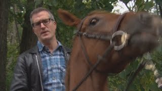 BLOOPER CBC Reporter gets thrown from horse [upl. by Ainosal138]