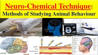 Neurochemical technique of Animal Behavior  Methods of studying behaviour  neurochemical technique [upl. by Notac]