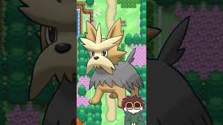 Could I beat these Pokémon in a fight  Lillipup Herdier Stoutland [upl. by Maryanne]