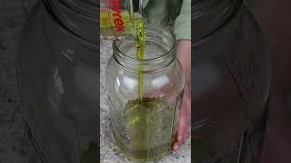 Garlic Infused Olive Oil Recipe  Homebody Eats [upl. by Refotsirk193]