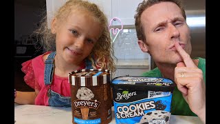 BREYERS vs DREYERS Cookies amp Cream Meltdown [upl. by Lichtenfeld]