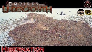 Empires of the Undergrowth  Hibernation Extra Level [upl. by Ecnerrat]