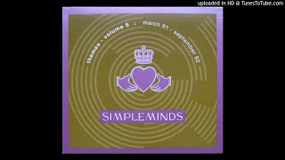 Simple Minds  Theme For Great Cities Extended Version [upl. by Oznecniv]