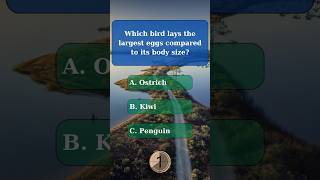 General knowledge quiz part 107 generalknowledge generalknowledgequiz challenge quiz gk trivia [upl. by Kiraa]