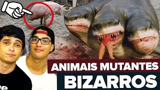 OS ANIMAIS MUTANTES MAIS BIZARROS DO MUNDO [upl. by Anehsak]