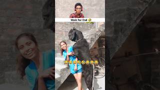 Try Not To Laugh Challenge 🤣 92 shorts funny memes trending [upl. by Harlin]