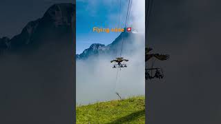 🇨🇭 Flying slide  Grindelwald First  travel grindelwald mountains switzerland automobile [upl. by Jammie]