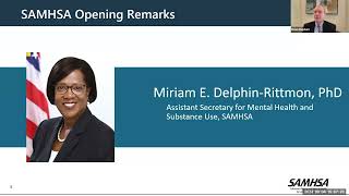 Strategies for Drawing Down MHBG Supplemental Funding Webinar [upl. by Desi]