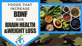 Foods That Increase BDNF for Brain Health amp Weight Loss [upl. by Karyl]