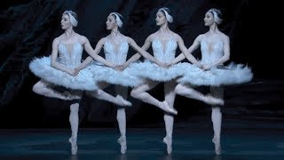 Swan Lake – Dance of the cygnets The Royal Ballet [upl. by Amar446]