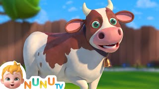 The Cow song  More Nursery Rhymes amp kids Songs  NuNu Tv [upl. by Fishback]