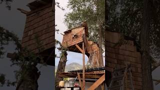 Cutting boards high in the air treehouse [upl. by Krusche]