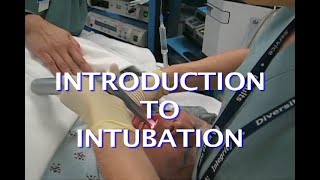 Introduction To Intubation [upl. by Nodrog]