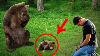 Crying Mama Bear Brings Dying Cub To This Man Then This Man Did Something Unbelievable [upl. by Fin]