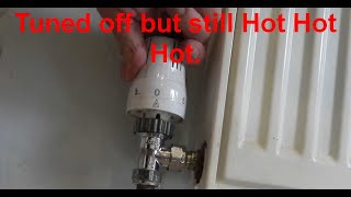 Central Heating Radiator turned off but still hot [upl. by Enirual]