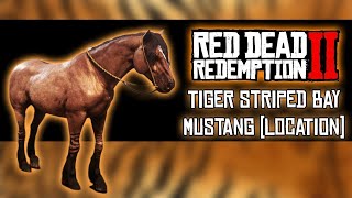 NEW RARE HORSE Tiger Striped Mustang Location Red Dead Redemption 2 Horse Guide [upl. by Isyak]