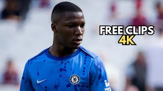 Moisés Caicedo Best Chelsea Free Clips For Edits  No Watermark Scene Pack  1080p [upl. by Gonzalo]