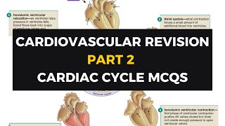 Cardiovascular Physiology MCQsPart 2 Cardiac Cycle [upl. by Eissehc]