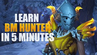 The ULTIMATE BM Hunter Guide For Dragonflight Patch 100 [upl. by Edwin640]