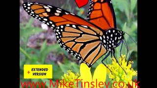 Mike Tinsley Butterfly [upl. by Nirrac]