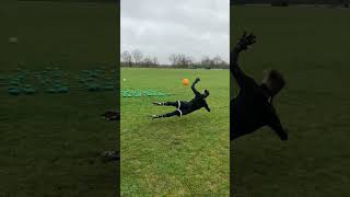 Reaction training with a deflection matrix 🧤 [upl. by Ynohta]