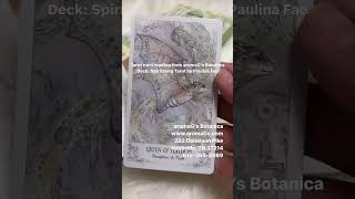 Your Daily Tarot or Oracle reading  Daily Card Pull by aromaGs Botanica  for 03312024 [upl. by Kiraa715]