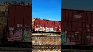 Graffiti 🎨 Art on Side of Boxcars [upl. by Tsuda]