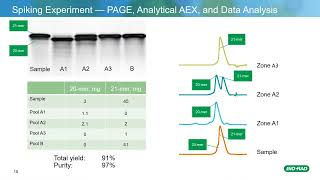 Purification of DNA Oligonucleotides Using Anion Exchange Chromatography [upl. by Fox]