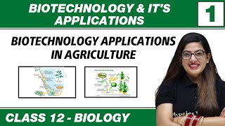 Biotechnology amp Its Application 01  Biotechnology Application in Agriculture  Class 12 NCERT [upl. by Annayd]