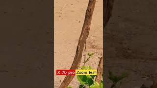 x70 pro zoom test [upl. by Haldis497]