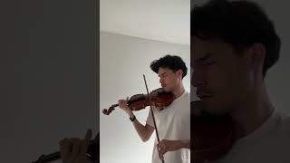 Beautiful Violin Music  Arrival of the Birds [upl. by Nylarej745]