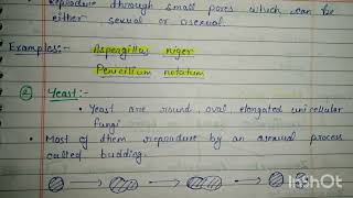 Morphological Classification of FUNGIMsc and bsc botany notes botanynotes biology [upl. by Karl]