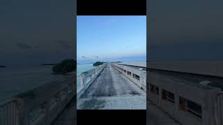 Florida Keys Bridge Fishing [upl. by Thomajan]