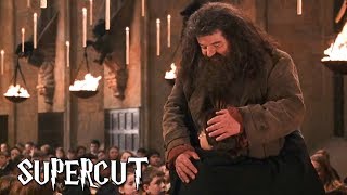 Harry Potter  Best of Hagrid [upl. by Aivil]