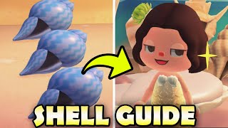 🐚 LIMITEDTIME SUMMER SHELLS amp How to Get Them in Animal Crossing New Horizons  Shell Guide [upl. by Mavilia]