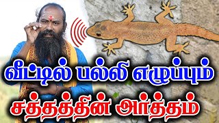 வீட்டில் பல்லி எழுப்பும் சத்தத்தின் அர்த்தம் palli vilum palan in tamil [upl. by Raeann]