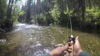 Fly Fishing Hyalite Creek in July [upl. by Goldin366]