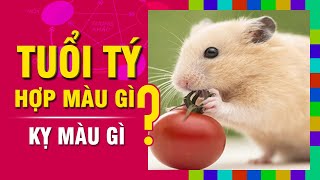 TUỔI TÝ Hợp MÀU GÌ Kỵ Màu Nào Nhất Chọn Màu Sắc Đúng Phong Thủy Để Đón May Mắn [upl. by Etselec]