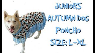 Junior’s Autumn Poncho  LargeXL Crochet Dog Poncho [upl. by Lraep775]