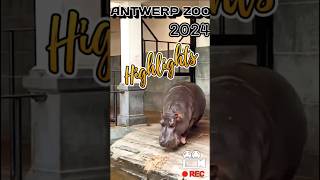 HIGHLIGHTS FROM ANTWERP ZOO  2024 [upl. by Emrich]