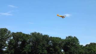 Balsa USA 13 scale Piper Cub [upl. by Ligriv]